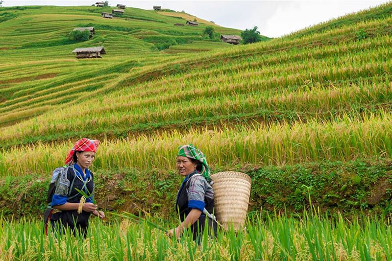 Sapa Adventure From Waterfalls To Villages